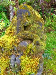 Picture from Spiritual Healing Facility of Volcano Island Haven in Hawaii