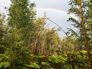 Spiritual Healing Facility at Volcano Island Haven in Hawaii