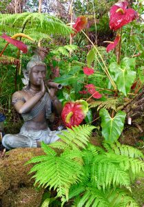 spiritual healing techniques from Volcano Island Haven